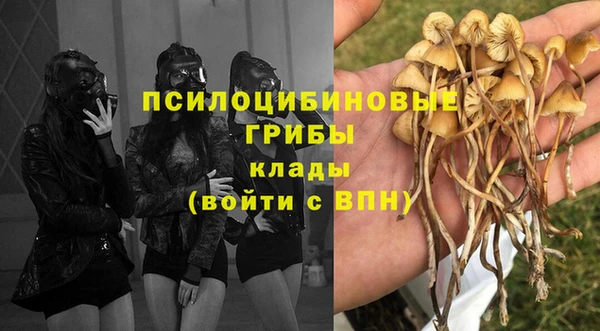 экстази Алексин