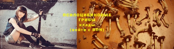 трава Алексеевка