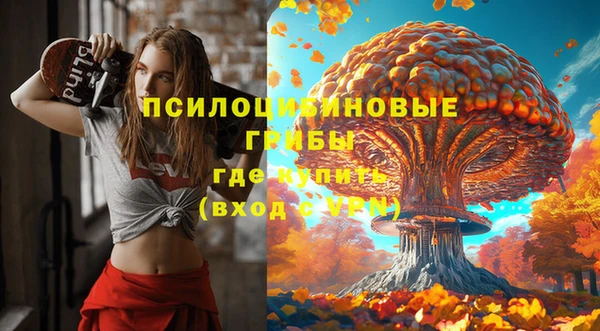 экстази Алексин
