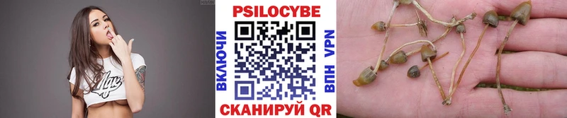 Галлюциногенные грибы прущие грибы  Первоуральск 